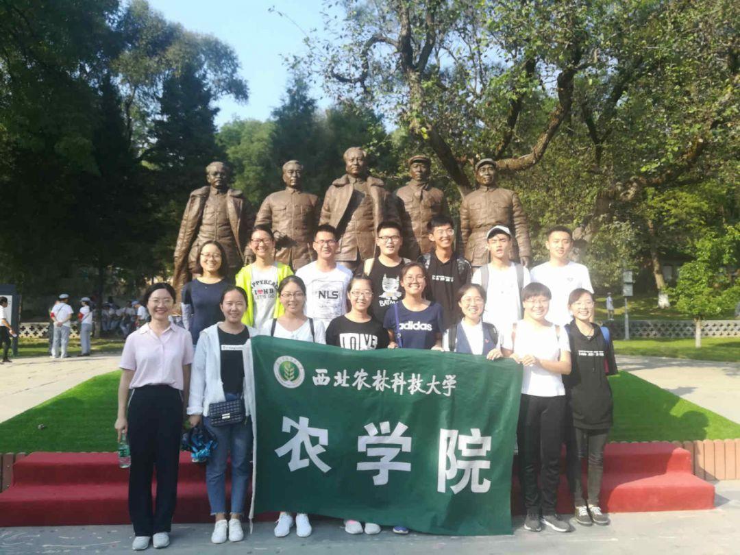 教师资格证怎么考+有什么要求 - 专业的问答网站,帮助解答你的疑问